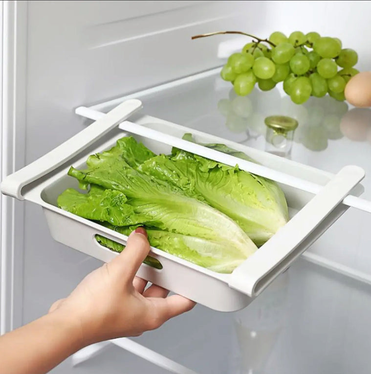 Fridge Shelf - Fruit, Egg, Cheese Storage Rack Fits any Refrigerator !