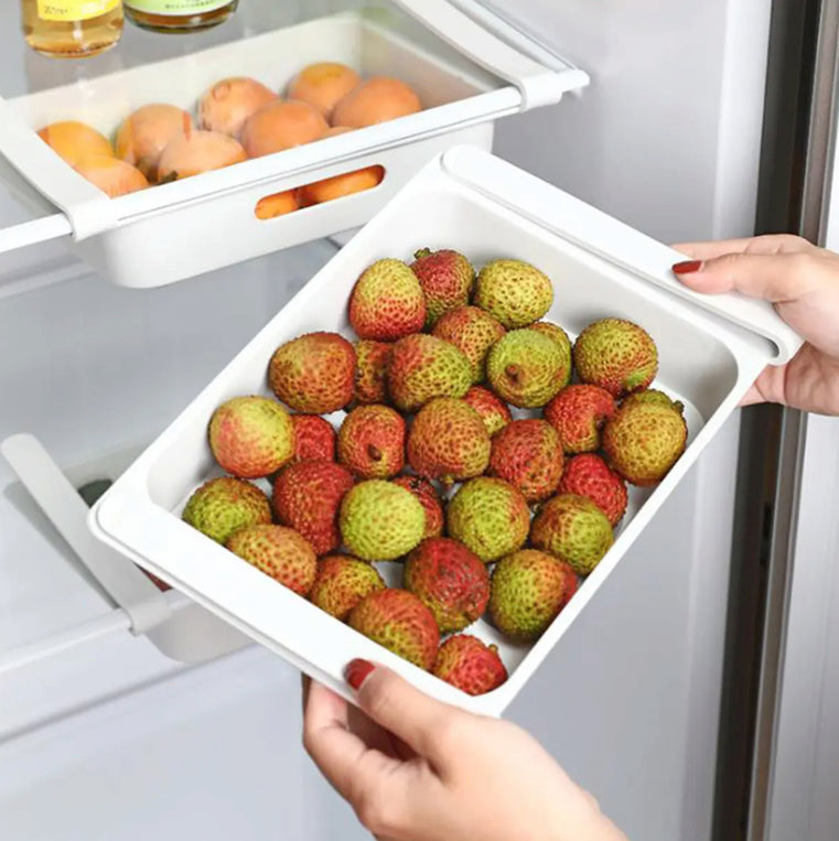 Fridge Shelf - Fruit, Egg, Cheese Storage Rack Fits any Refrigerator !